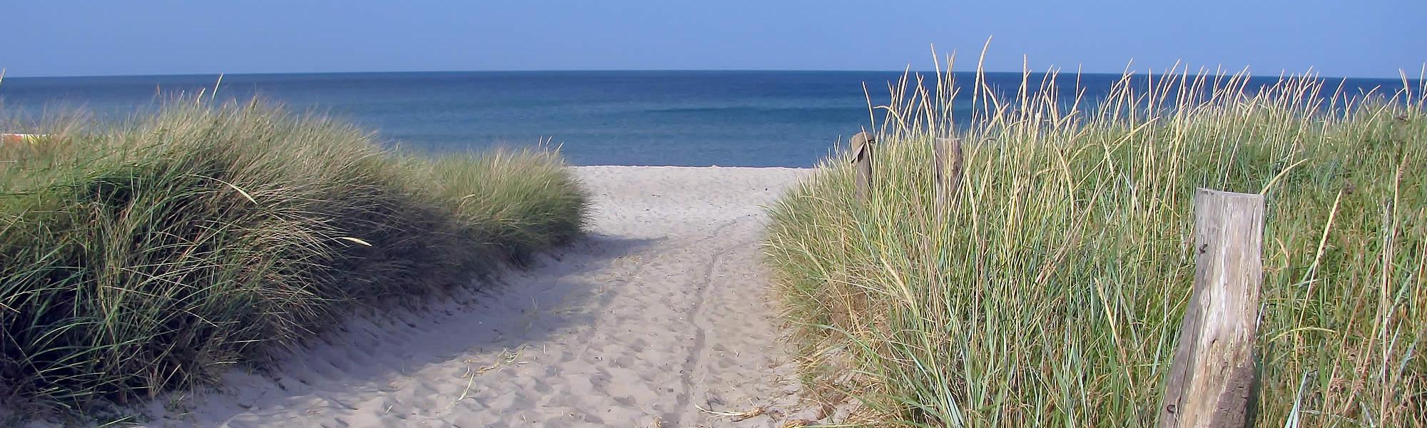 Sandstrand und Dünen an der Ostsee